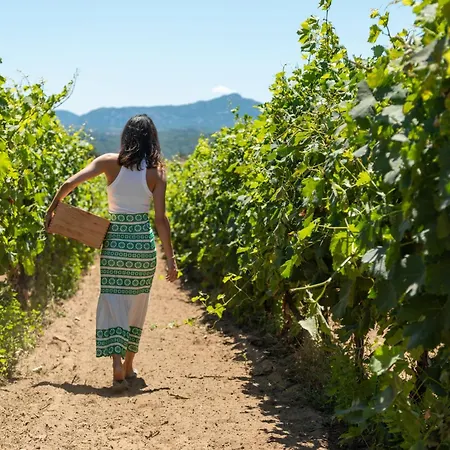 Κατάλυμα σε φάρμα Cantina&agriturismo Canu Luogosanto