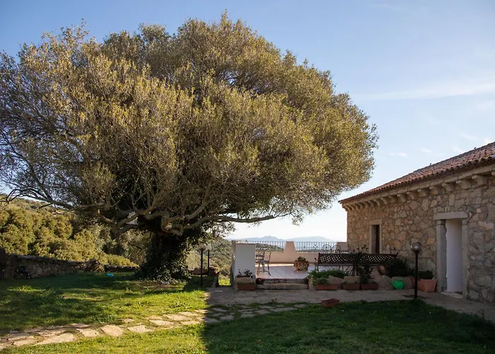 Cantina&agriturismo Canu