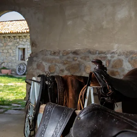 Cantina&agriturismo Canu * Luogosanto