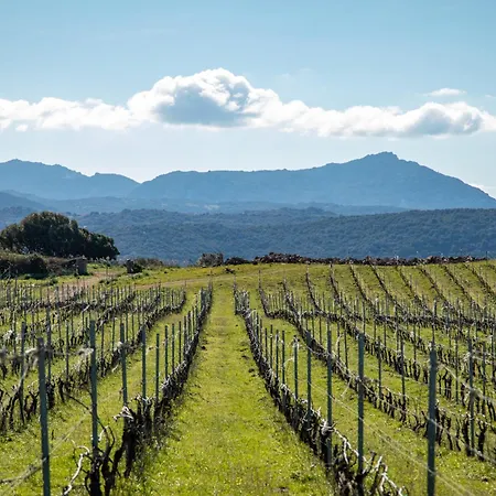 Cantina&agriturismo Canu Farma *